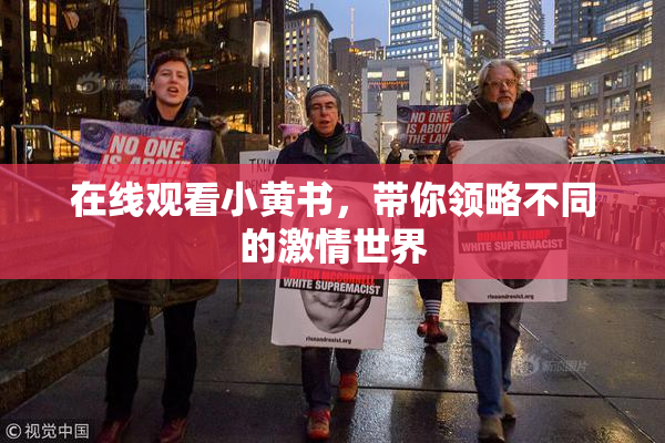 在线观看小黄书，带你领略不同的激情世界