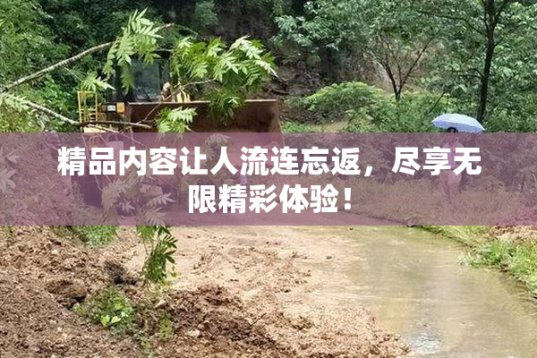 精品内容让人流连忘返，尽享无限精彩体验！