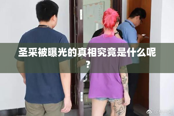 圣采被曝光的真相究竟是什么呢？