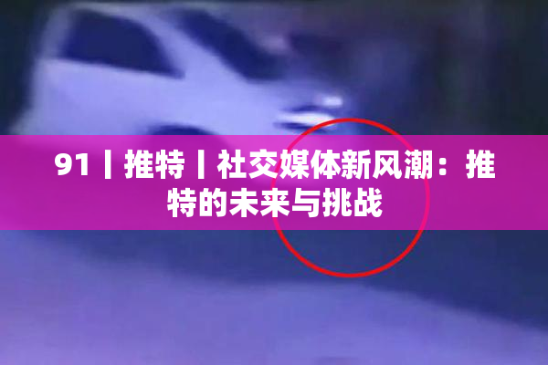 91丨推特丨社交媒体新风潮：推特的未来与挑战