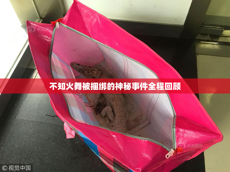 不知火舞被捆绑的神秘事件全程回顾