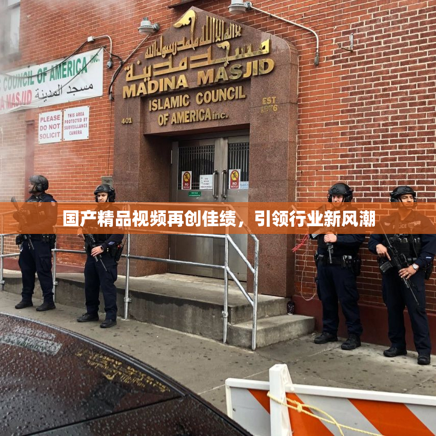 国产精品视频再创佳绩，引领行业新风潮