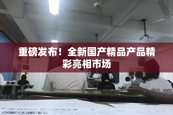 重磅发布！全新国产精品产品精彩亮相市场