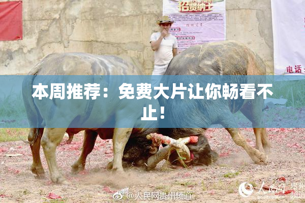本周推荐：免费大片让你畅看不止！
