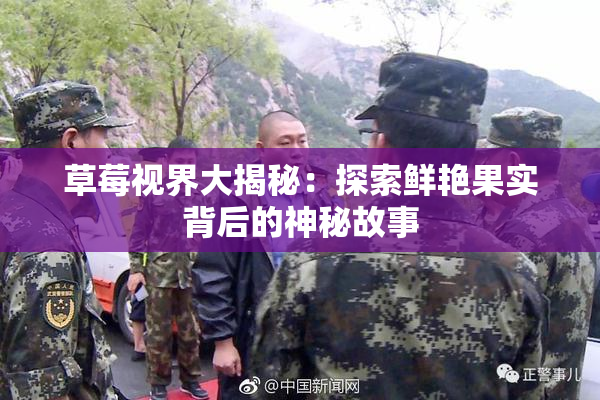 草莓视界大揭秘：探索鲜艳果实背后的神秘故事