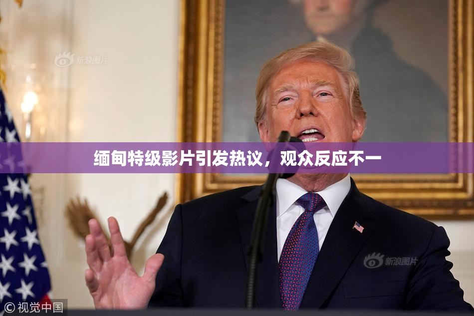 缅甸特级影片引发热议，观众反应不一