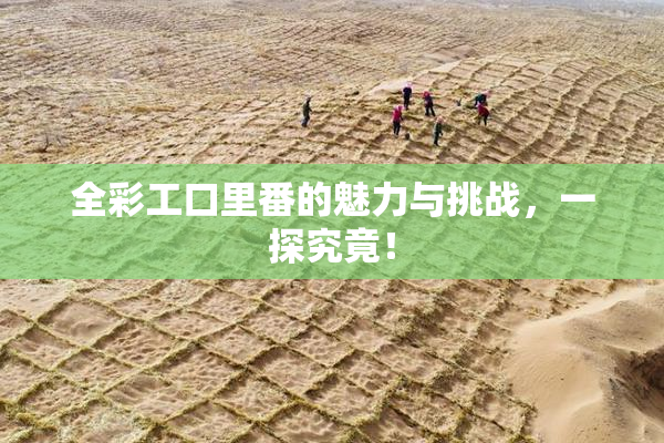 全彩工口里番的魅力与挑战，一探究竟！