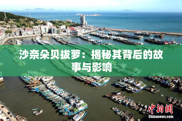 沙奈朵贝拔萝：揭秘其背后的故事与影响