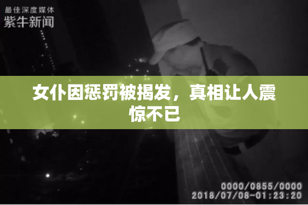 女仆因惩罚被揭发，真相让人震惊不已