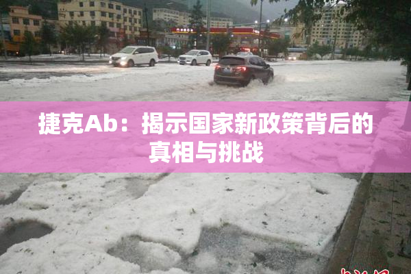 捷克Ab：揭示国家新政策背后的真相与挑战
