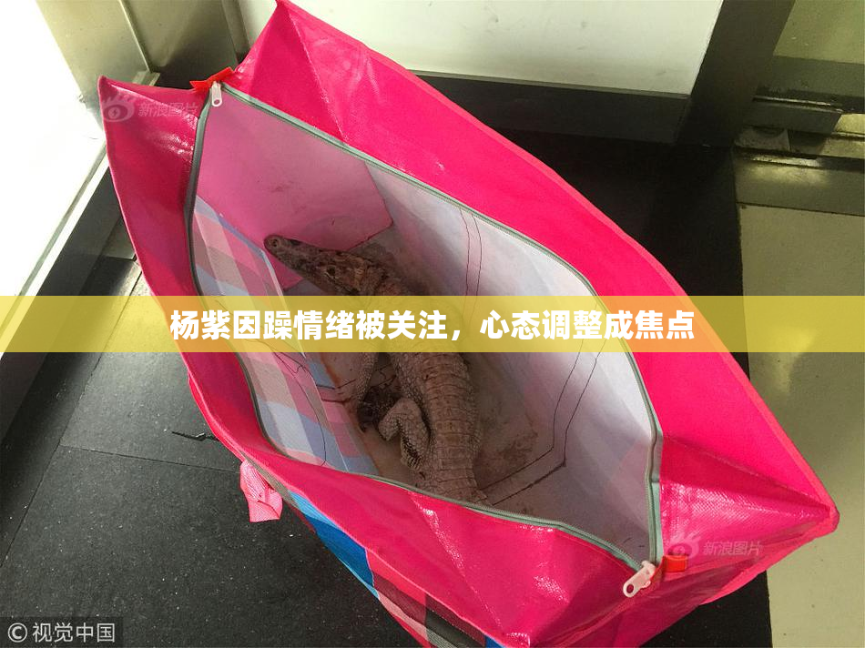 杨紫因躁情绪被关注，心态调整成焦点