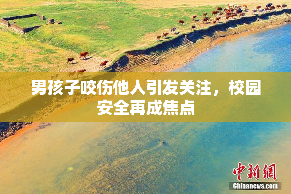 男孩子咬伤他人引发关注，校园安全再成焦点