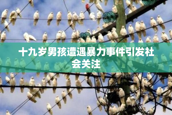 十九岁男孩遭遇暴力事件引发社会关注