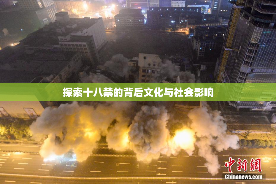 探索十八禁的背后文化与社会影响