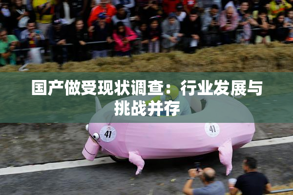 国产做受现状调查：行业发展与挑战并存