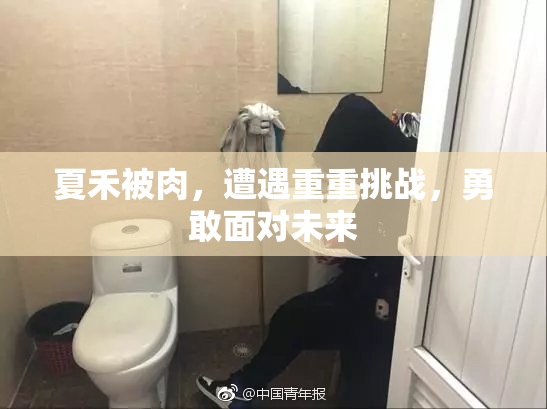 夏禾被肉，遭遇重重挑战，勇敢面对未来