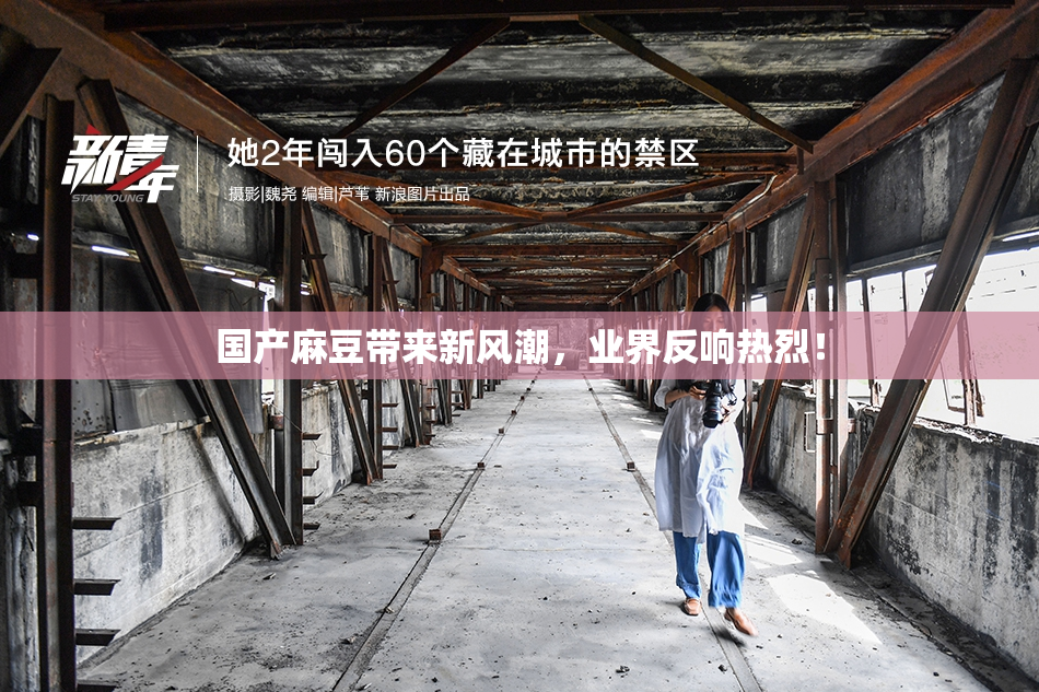 国产麻豆带来新风潮，业界反响热烈！