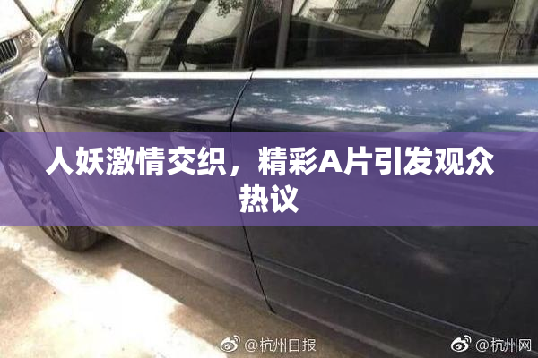 人妖激情交织，精彩A片引发观众热议