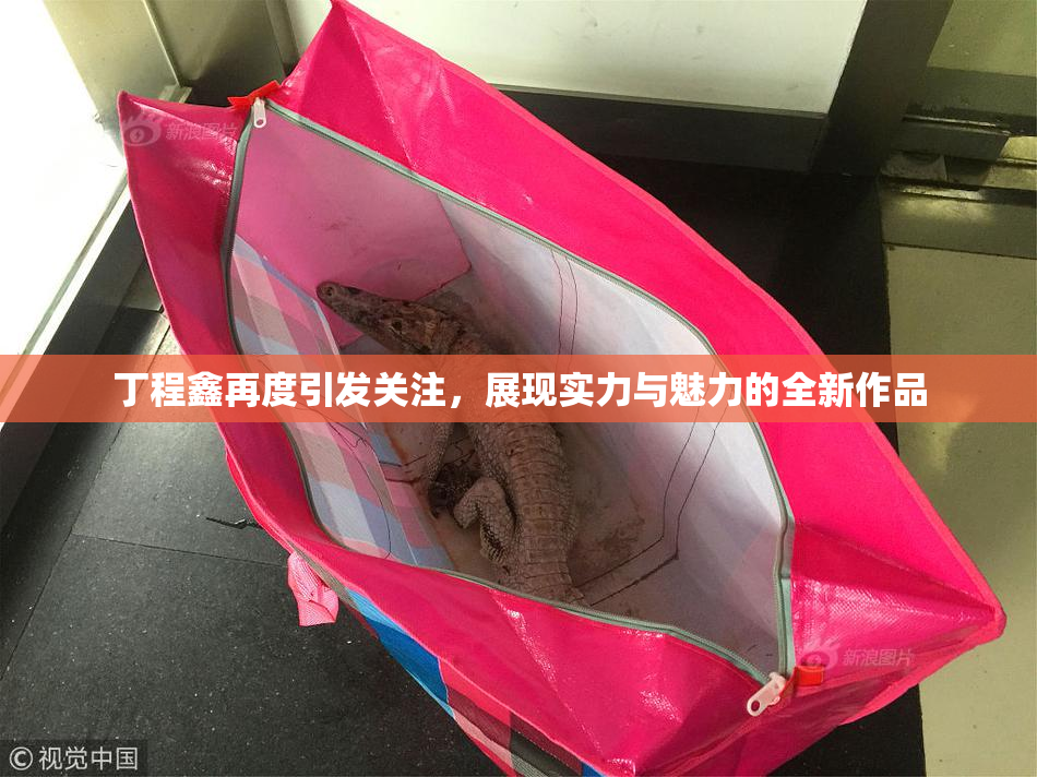 丁程鑫再度引发关注，展现实力与魅力的全新作品