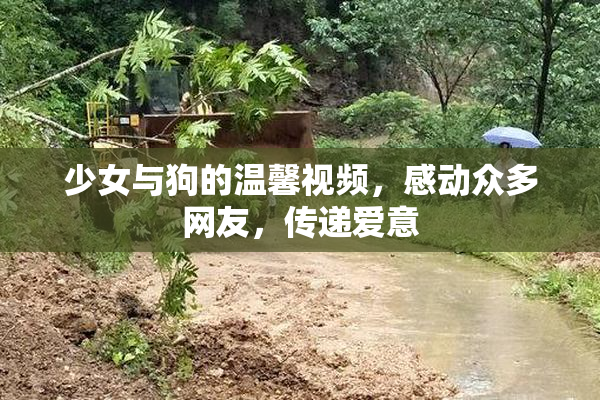 少女与狗的温馨视频，感动众多网友，传递爱意