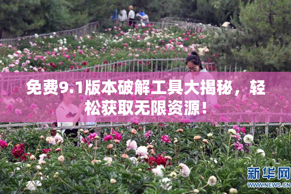 免费9.1版本破解工具大揭秘，轻松获取无限资源！