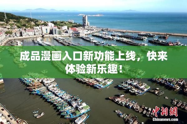 成品漫画入口新功能上线，快来体验新乐趣！
