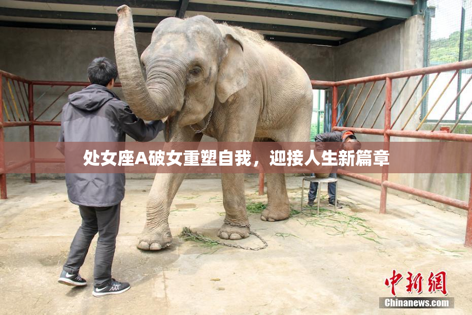 处女座A破女重塑自我，迎接人生新篇章