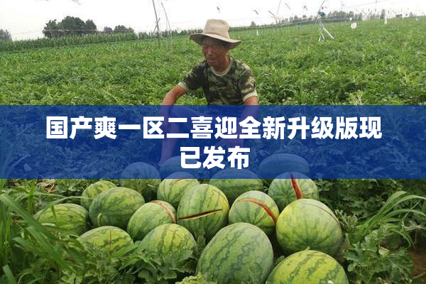 国产爽一区二喜迎全新升级版现已发布