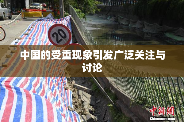 中国的受重现象引发广泛关注与讨论