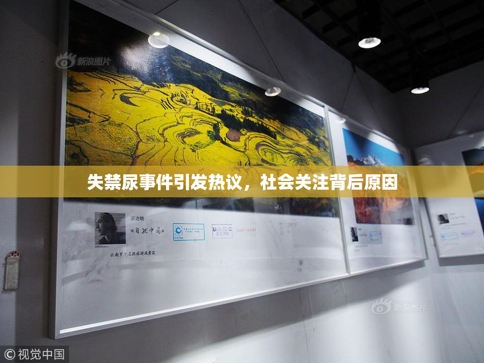 失禁尿事件引发热议，社会关注背后原因