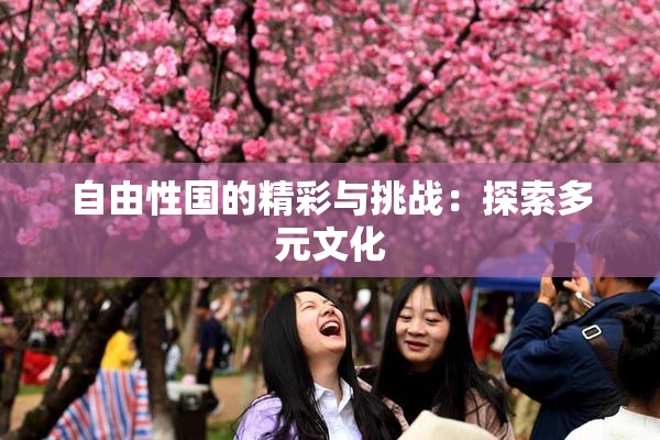 自由性国的精彩与挑战：探索多元文化