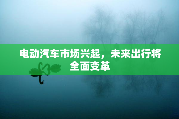 电动汽车市场兴起，未来出行将全面变革