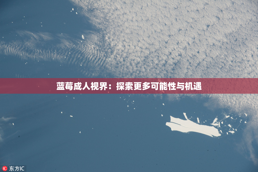 蓝莓成人视界：探索更多可能性与机遇