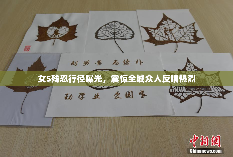 女S残忍行径曝光，震惊全城众人反响热烈