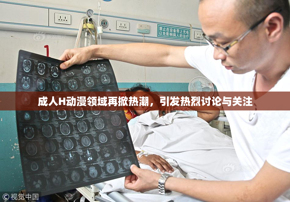 成人H动漫领域再掀热潮，引发热烈讨论与关注