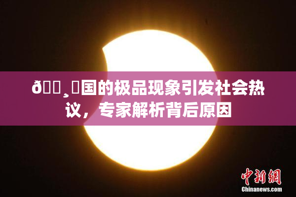 🌸‌国的极品现象引发社会热议，专家解析背后原因