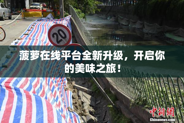 菠萝在线平台全新升级，开启你的美味之旅！
