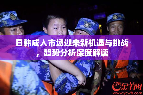 日韩成人市场迎来新机遇与挑战，趋势分析深度解读