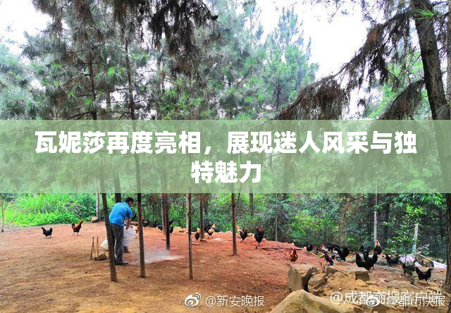 瓦妮莎再度亮相，展现迷人风采与独特魅力