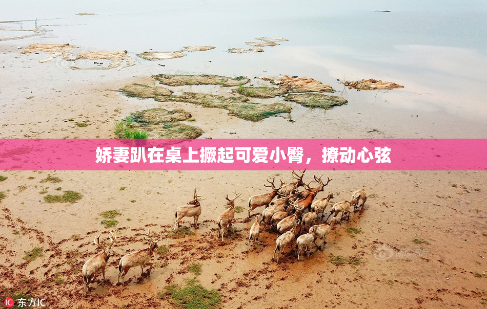 娇妻趴在桌上撅起可爱小臀，撩动心弦
