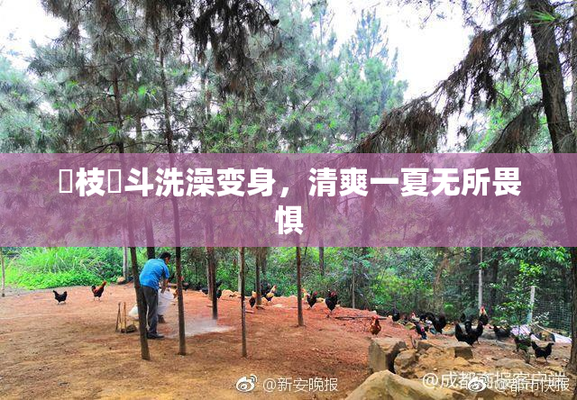狛枝凪斗洗澡变身，清爽一夏无所畏惧