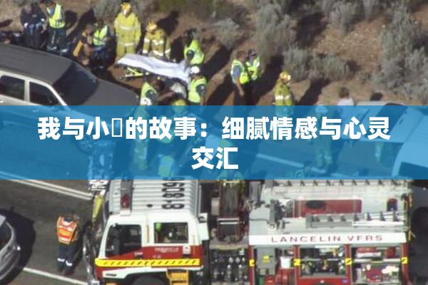我与小娻的故事：细腻情感与心灵交汇