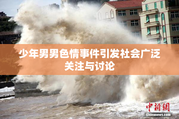 少年男男色情事件引发社会广泛关注与讨论