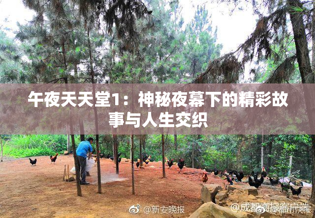 午夜天天堂1：神秘夜幕下的精彩故事与人生交织