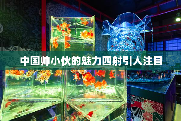 中国帅小伙的魅力四射引人注目