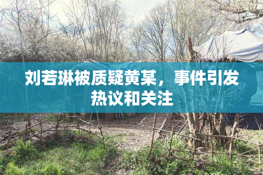 刘若琳被质疑黄某，事件引发热议和关注