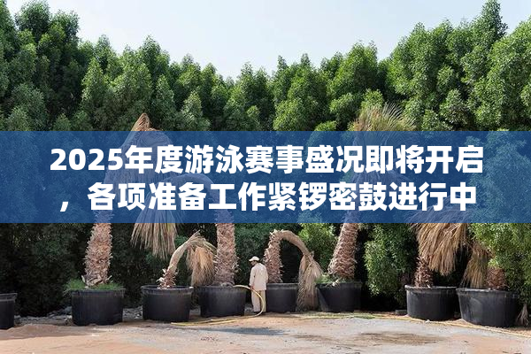2025年度游泳赛事盛况即将开启，各项准备工作紧锣密鼓进行中