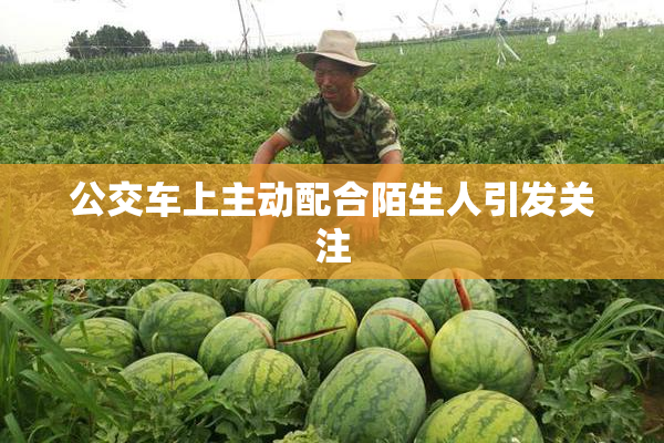 公交车上主动配合陌生人引发关注