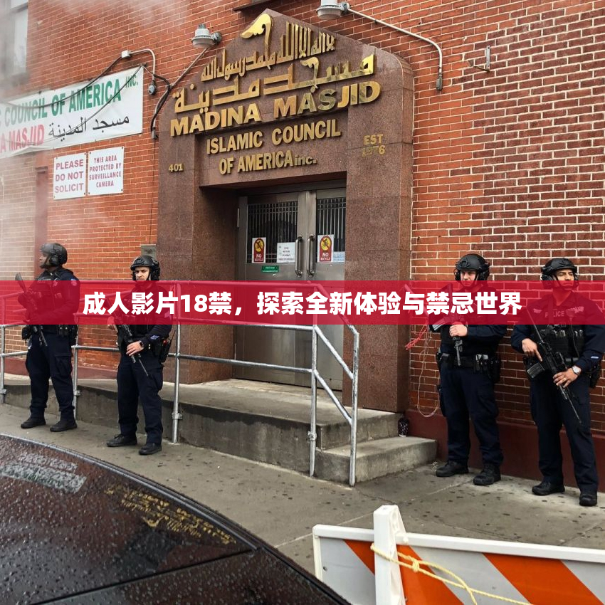 成人影片18禁，探索全新体验与禁忌世界