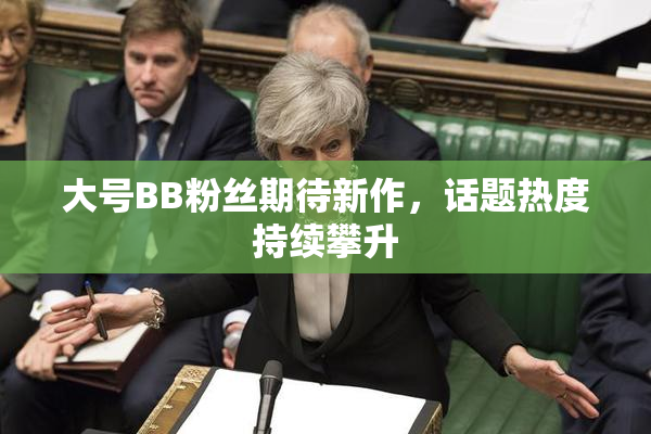 大号BB粉丝期待新作，话题热度持续攀升